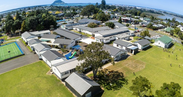 Aerial shot of the school